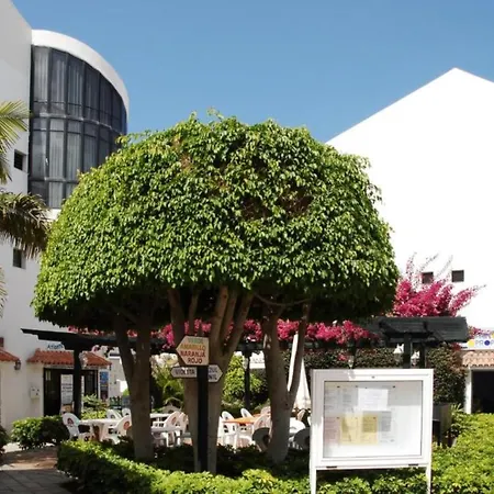 Duplex Con Vistas A Piscina O Exteriores, En Los Cristianos *
